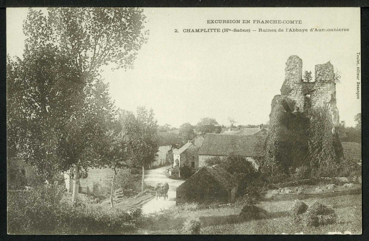 Ruines de l'abbaye d'Aumonnières