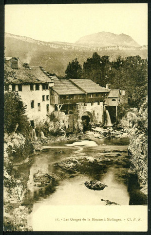 Les gorges de la Bienne