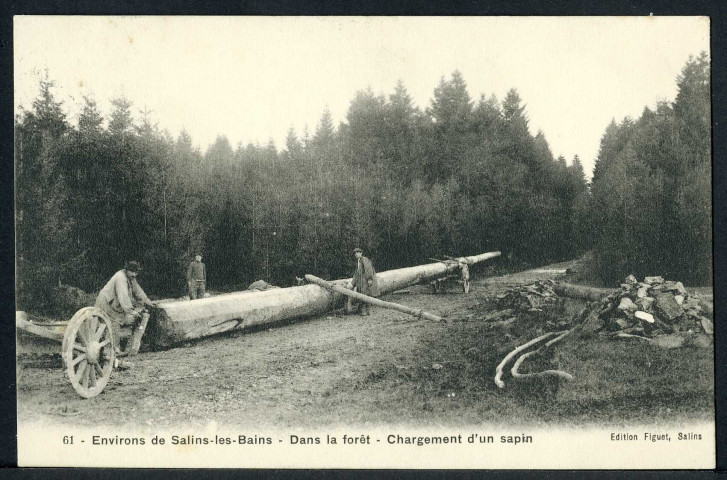 Chargement d'un sapin