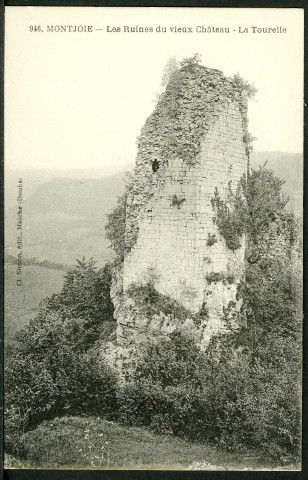 Les ruines du vieux château. La tourelle