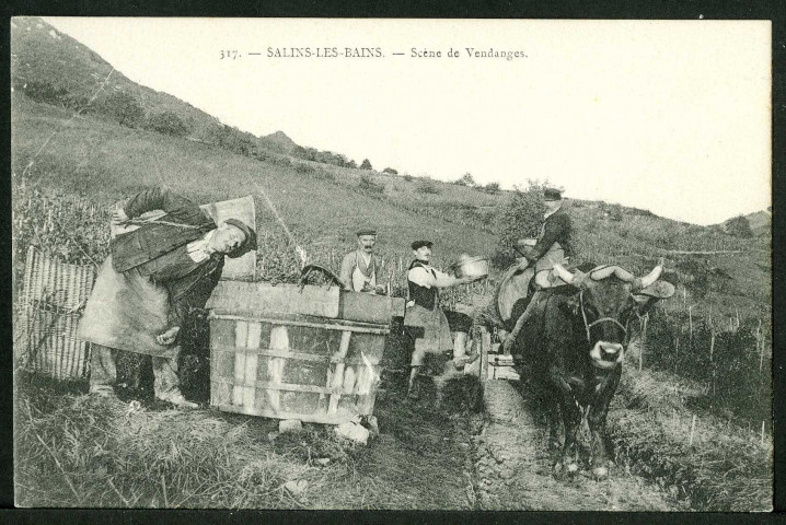 Scènes de vendanges