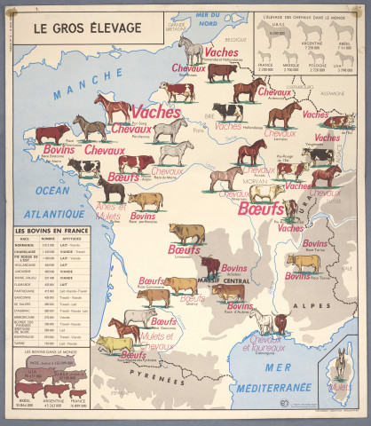 Cartes élevage bovins en France et le Rhône