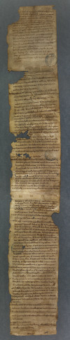 Extrait du catalogue de la bibliothèque