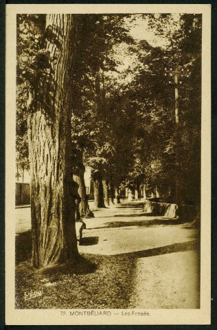 Les Fossés