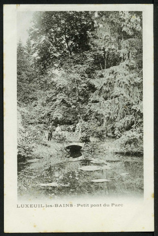 Petit pont du parc