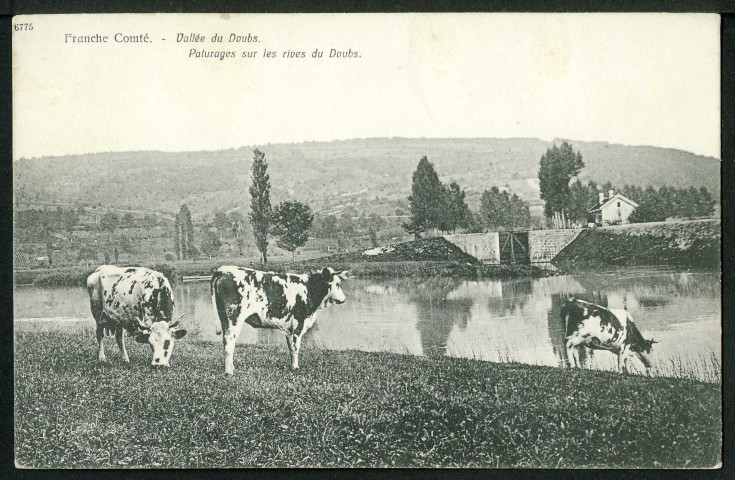 Vallée du Doubs. Pâturages sur les rives du Doubs