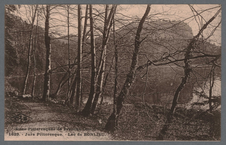 Le lac, sous-bois