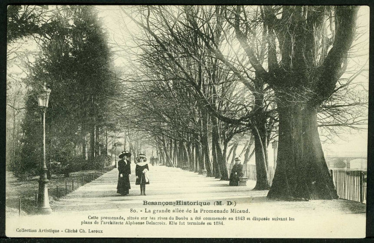 La grande allée de la promenade Micaud