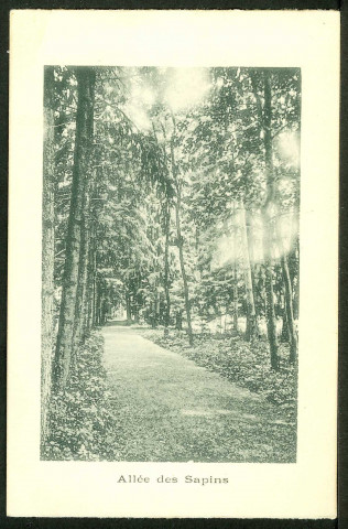 Allée des sapins