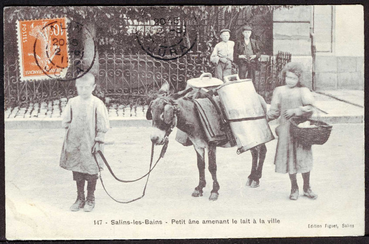 Petit âne amenant le lait à la ville