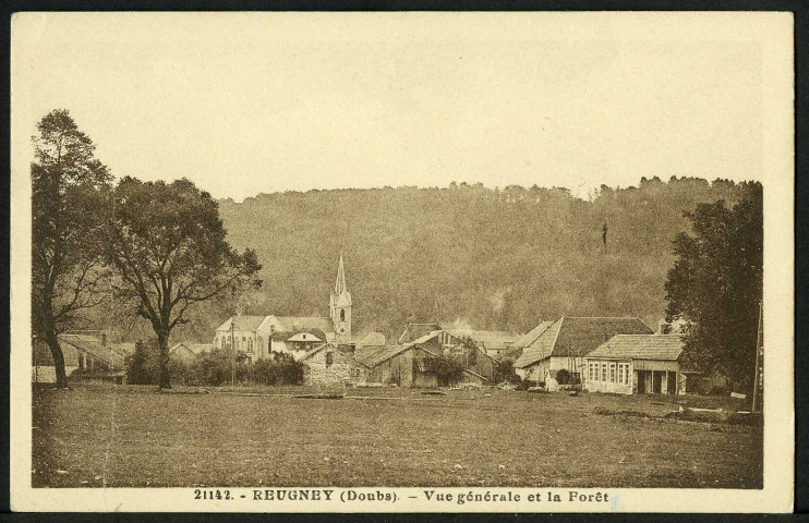 Vue générale et la forêt