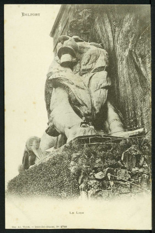 Le Lion