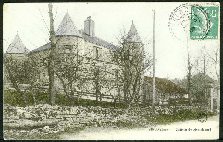Château de Montrichard