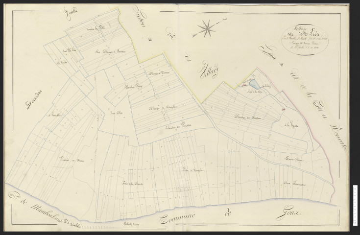Hyémondans