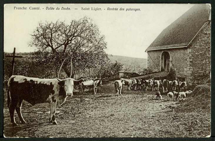 Rentrée des pâturages