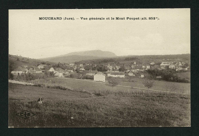 Vue générale et le Mont Poupet