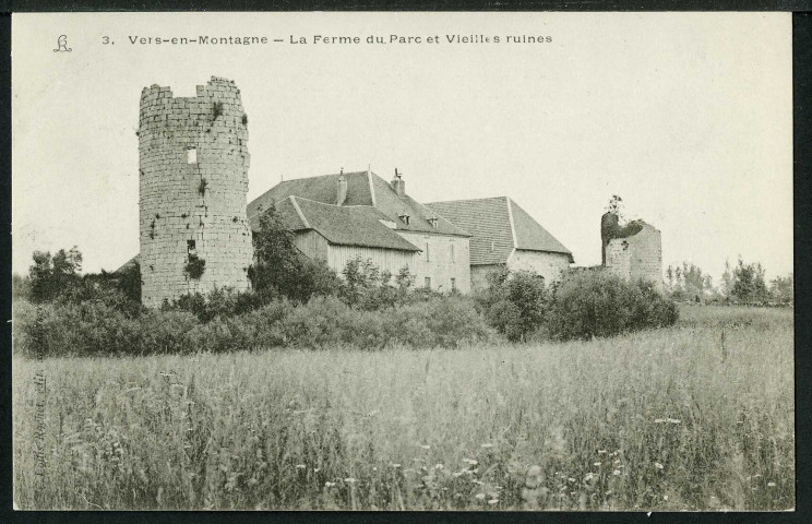 Ferme du parc et vieilles ruines