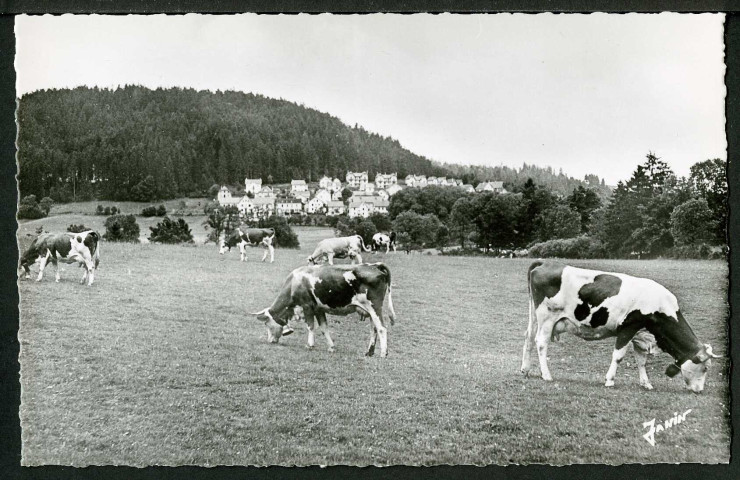 Pâturages en Franche-Comté