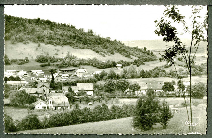 Vue sous les vignes