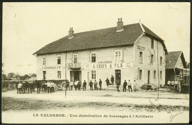 Une distribution de fourrage à l'artillerie