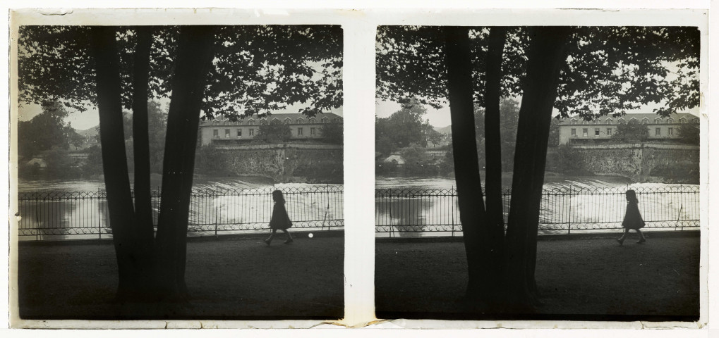 Marguerite au parc Micaud