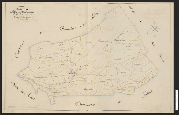 Montbéliardot