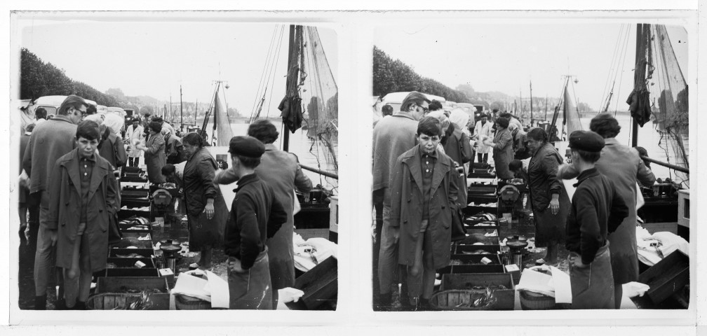 Calvados. - Le marché aux poissons de Trouville