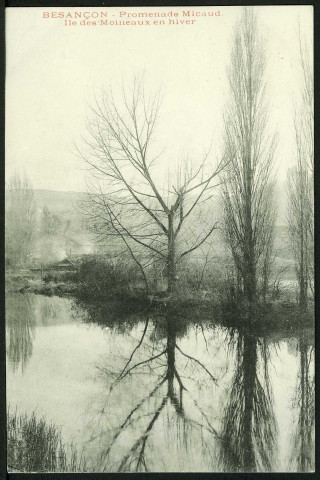 Promenade Micaud, l'île des Moineaux en hiver