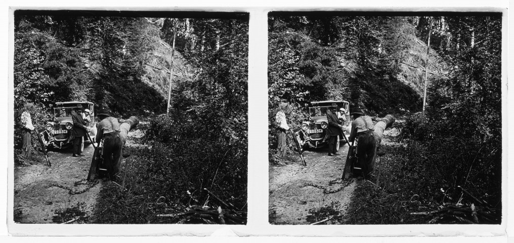 Voiture sur le côté et tronc d'arbre sur la route