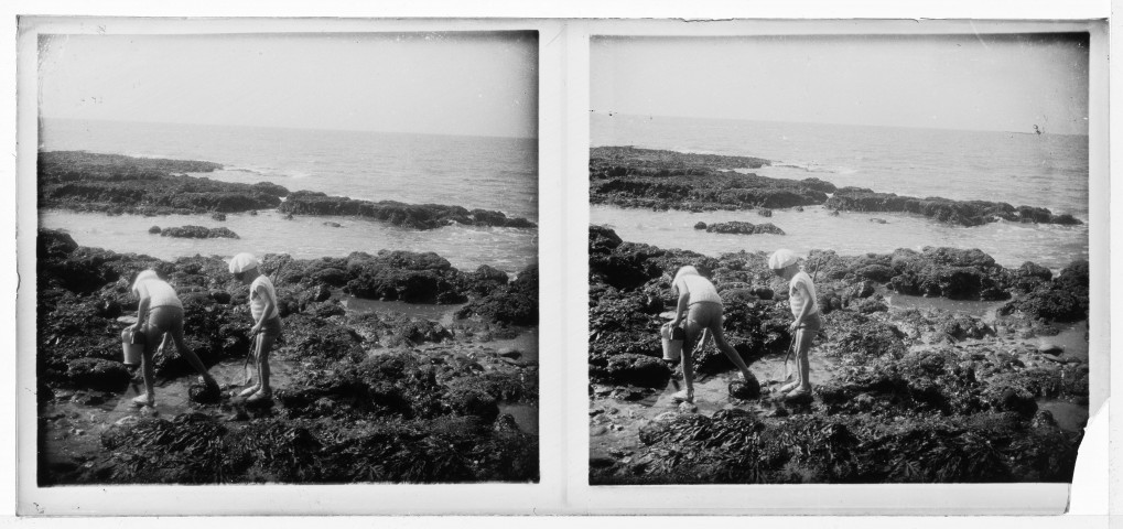 La pêche à pied à marée basse