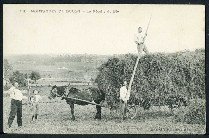 Agrandir l'image - Nouvelle fenêtre