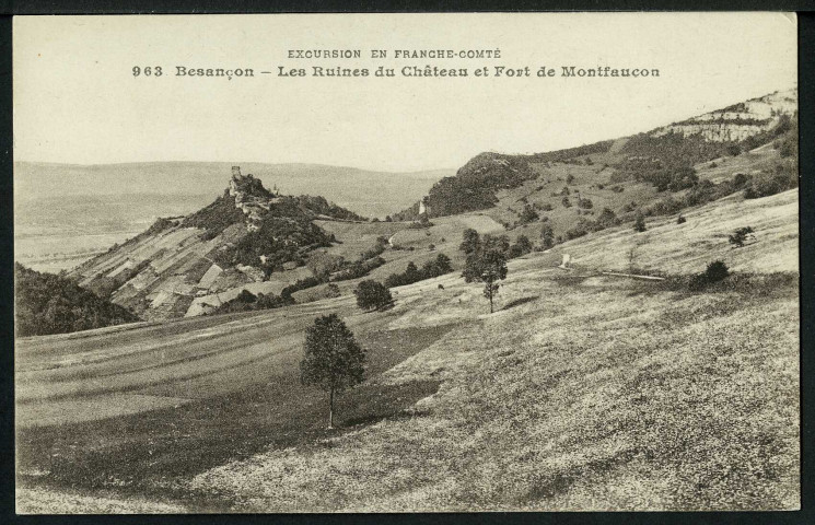 Les ruines du château et fort de Montfaucon