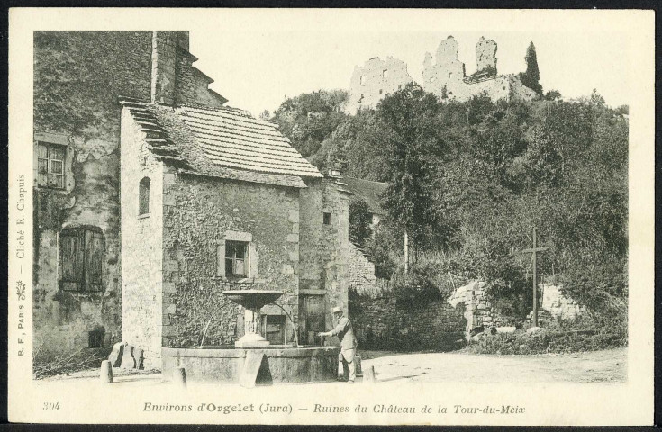 Ruines du château de la Tour-du-Meix