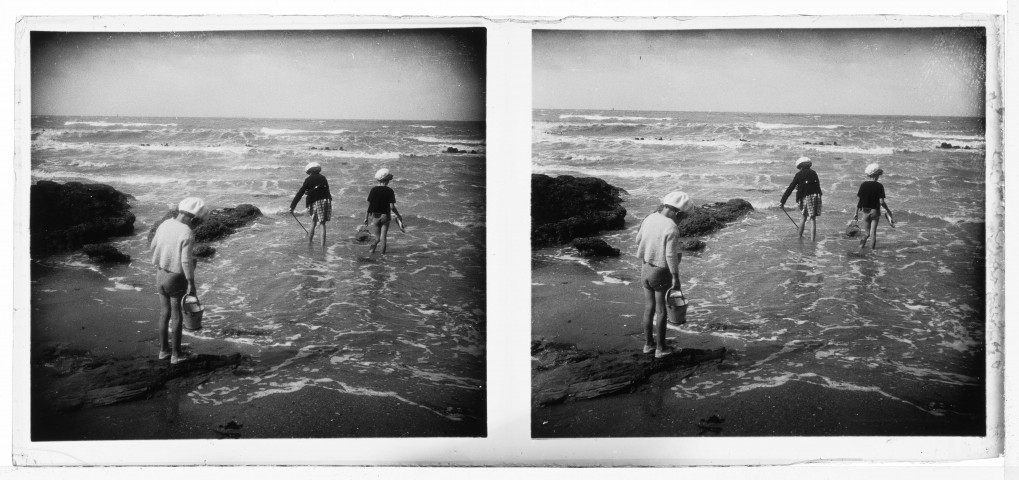 La pêche à pied à marée basse