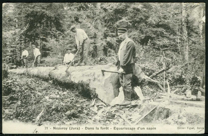 Dans la forêt, équarrissage d'un sapin