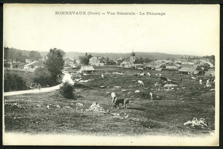 Vue générale, le pâturage