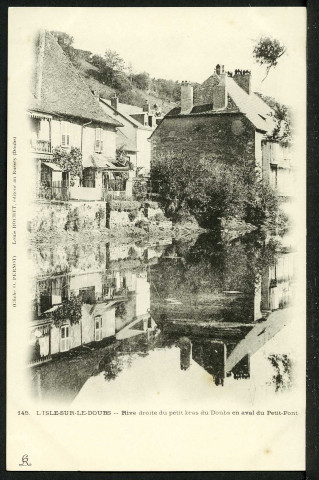 Rive droite du petit bras du Doubs en aval du petit pont