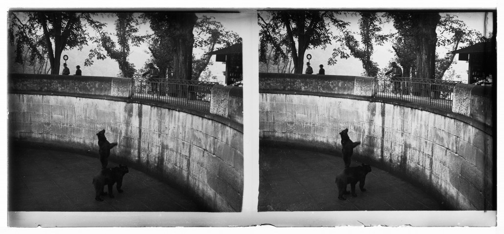 La fosse aux ours