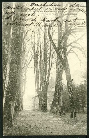 Allée du Parc de Montalembert