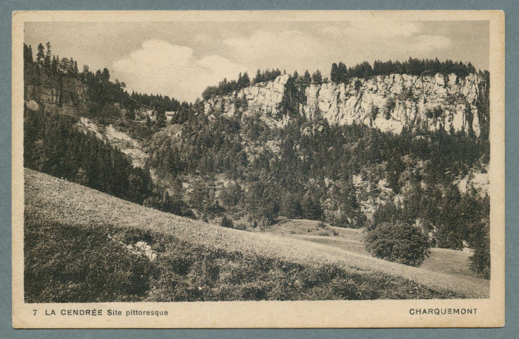 La Cendrée