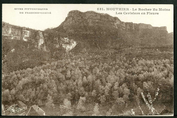 Le rocher du Moine, cerisiers en fleurs