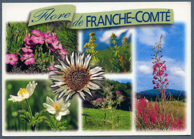 Flore de Franche-Comté