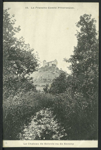 Le château vu de Sancey
