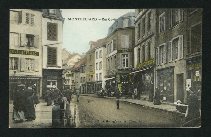 Rue Cuvier