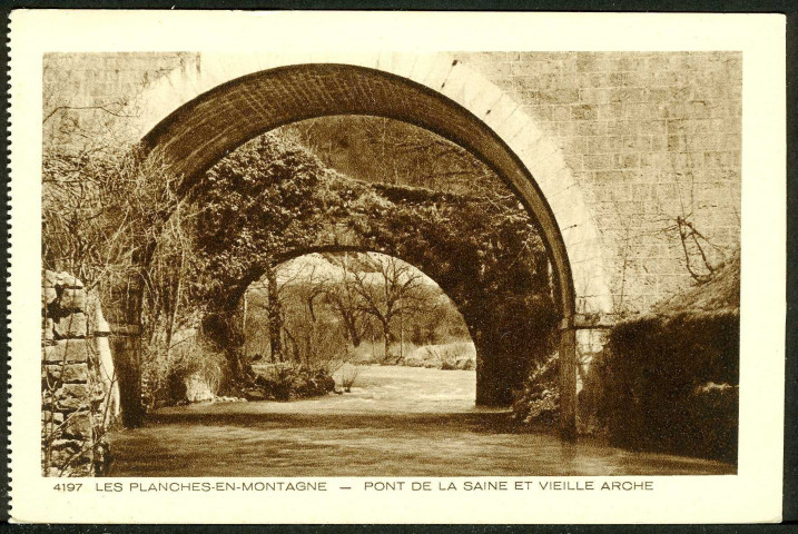 Pont de la Saine et vieille arche