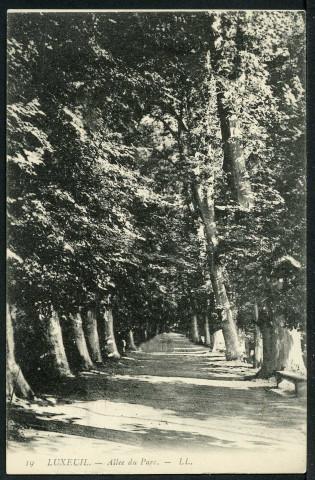 Allée du Parc