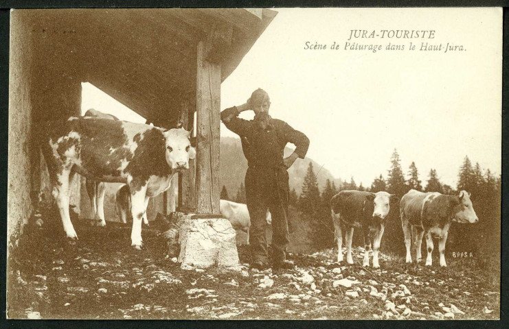 Scène de pâturage dans le Haut-Jura