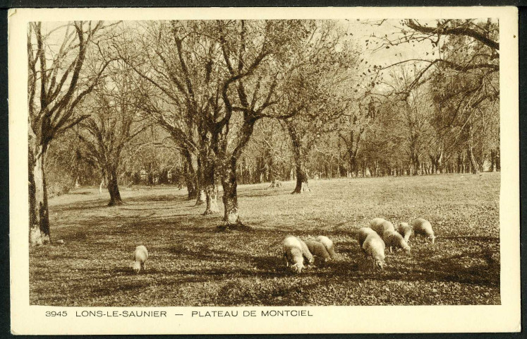 Plateau de Montciel