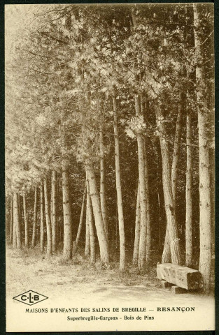 Maisons d'enfants des salins de Bregille, Besançon, Superbregille-garçons, bois de pins