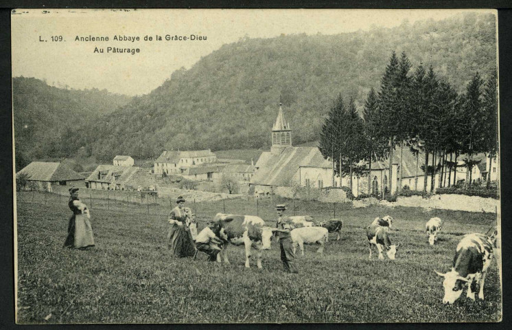 Pâturage de l'abbaye